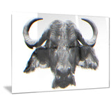 Stare of the Bull- Animal Canvas Print PT2309