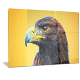 Golden Eagle - Animal Canvas Print PT2312