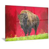 Lone Bison - Animal Canvas Print PT2327