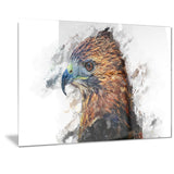 Hawk Eye- Animal Canvas Print PT2337