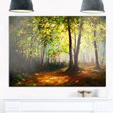 summer forest landscape canvas art print PT6000-1