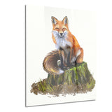 the clever fox illustration animal canvas art print PT6217