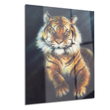 mighty tiger animal canvas artwork PT6272