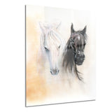 black and white horse heads animal canvas print PT6280