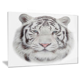 white bengal tiger animal canvas art print PT6285