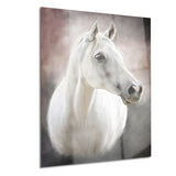 lovely white horse animal canvas art print PT6376