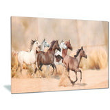 herd gallops in sand storm photography canvas art print PT6456