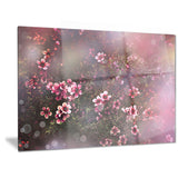 sakura japanese cherry photography floral canvas print PT6505