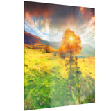 lonely autumn tree landscape canvas art print PT6519