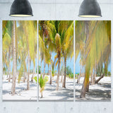 palm trees landscape photography canvas art print PT6777