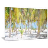 palm trees landscape photography canvas art print PT6777