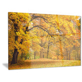 golden autumn forest landscape photo canvas print PT6883