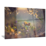 two spring flowers floral photography canvas print PT6925