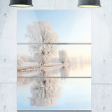frosty winter tree by rising photo canvas art print PT6927