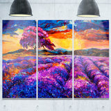 colorful lavender fields photography canvas print PT7065