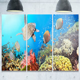 undersea panorama photography canvas print PT7066