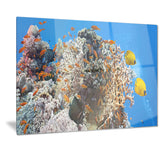 coral scene panorama photo canvas art print PT7083