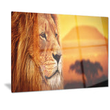 lion portrait on savanna animal photo canvas print PT7153