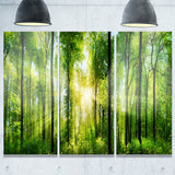 forest with rays of sun panorama landscape canvas print PT7211