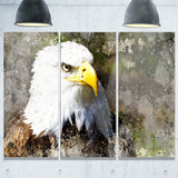 eagle head with textures animal digital art canvas print PT7952