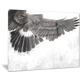 low flying eagle illustration animal digital art canvas print PT7958