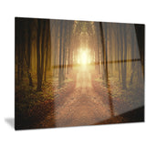 road in symmetrical forest landscape photo canvas print PT8317