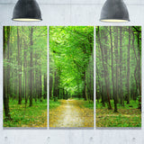 pathway in green forest landscape photo canvas print PT8333
