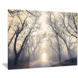 vintage autumn forest in fog landscape photo canvas print PT8456