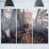 autumn foggy forest trees landscape photo canvas print PT8459