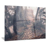 autumn foggy forest trees landscape photo canvas print PT8459