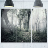 vintage forest filled with fog landscape photo canvas print PT8464