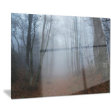 autumn rainy forest in crimea landscape photo canvas print PT8480