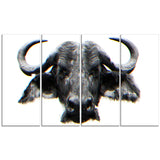 Stare of the Bull- Animal Canvas Print PT2309