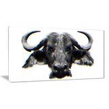 Stare of the Bull- Animal Canvas Print PT2309