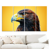 Golden Eagle - Animal Canvas Print PT2312