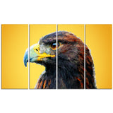 Golden Eagle - Animal Canvas Print PT2312