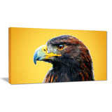 Golden Eagle - Animal Canvas Print PT2312