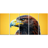 Golden Eagle - Animal Canvas Print PT2312