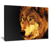 Eyes of a Predator- Animal Canvas Print PT2323