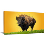 Lone Bison- Animal Canvas Print PT2326