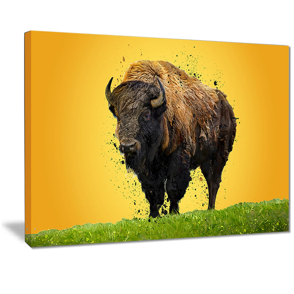 Lone Bison- Animal Canvas Print PT2326