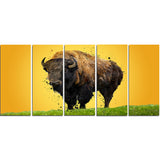 Lone Bison- Animal Canvas Print PT2326