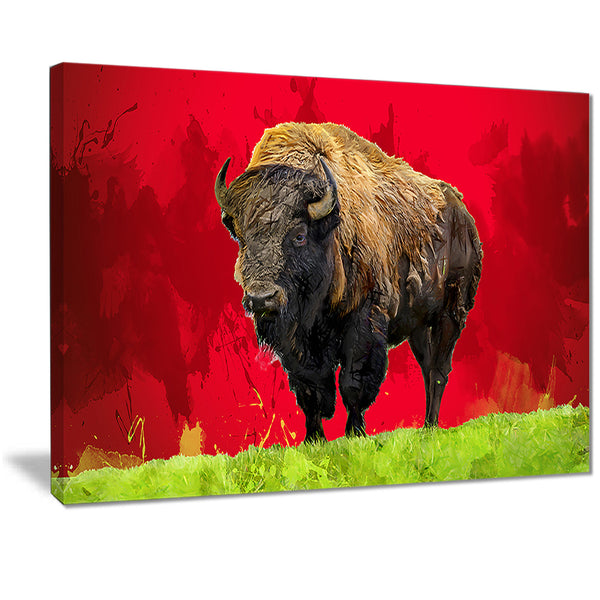 Lone Bison - Animal Canvas Print PT2327