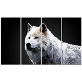 Wonder of the Wolf- Animal Canvas Print PT2329