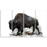 Migrating Bison- Animal Canvas Print PT2333