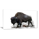 Migrating Bison- Animal Canvas Print PT2333