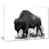 Migrating Bison- Animal Canvas Print PT2333