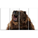 Fierce Grizzly- Animal Canvas Print PT2345