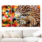 Vibrant Eagle- Animal Canvas Print PT2353