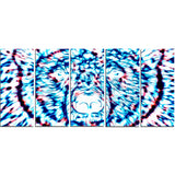 Psychedelic Bear - Animal Canvas Print PT2361